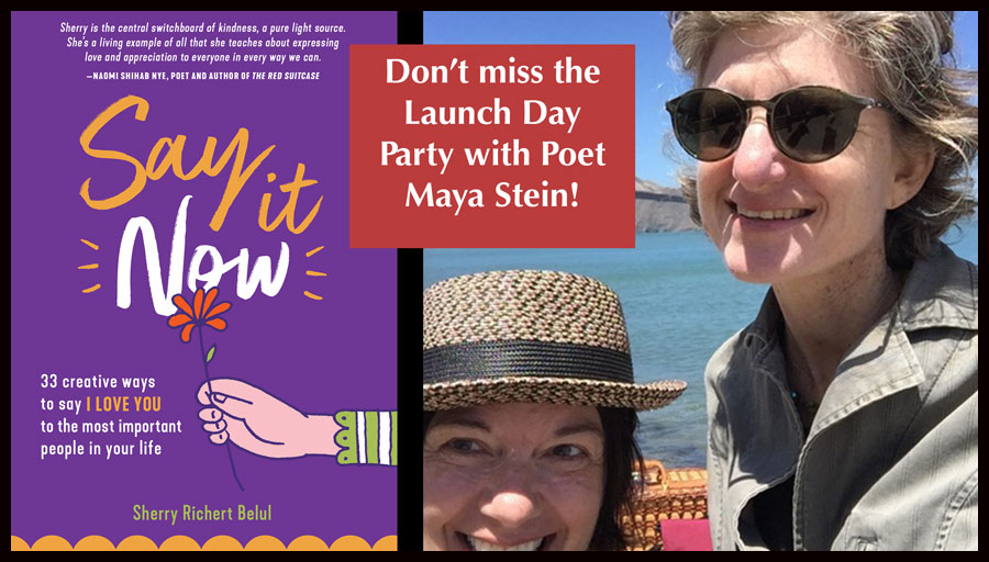 “Say it Now” Launch Party with Maya Stein