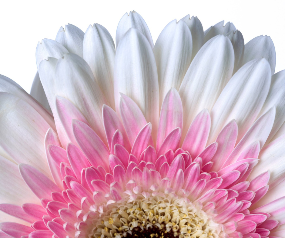 What astonishes you?