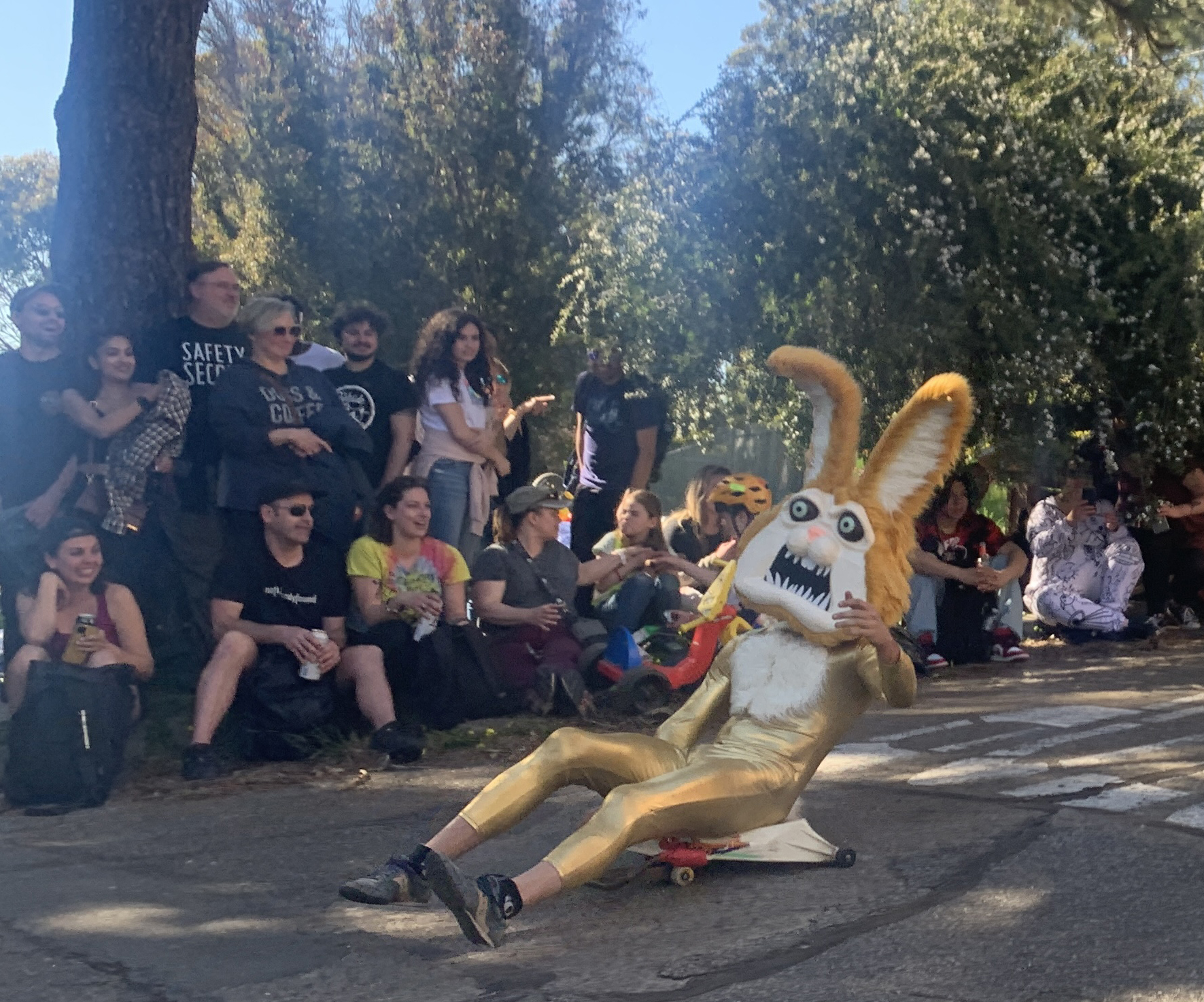 Celebration Moment: Seek Glee